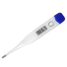 Digital thermometer regular