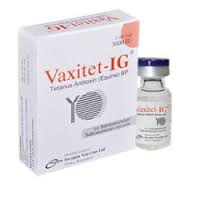 vaxxitet IG