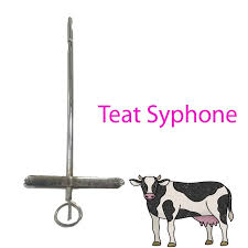 Milk syphon